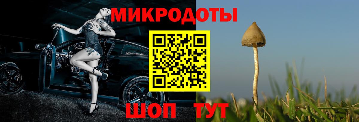 Псилоцибиновые грибы Psilocybe  Галлюциногенные грибы MAGIC MUSHROOMS  Лосино-Петровский  Вход с VPN 